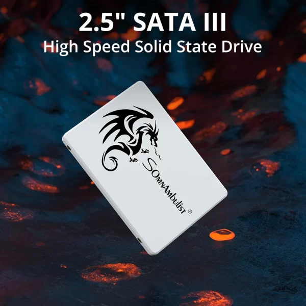 SomnAmbulist SSD 2.5 64GB 128GB 256GB 512GB for Laptop Desktop Solid State Drive Sata3 120GB 240GB 480GB - Imagem 2
