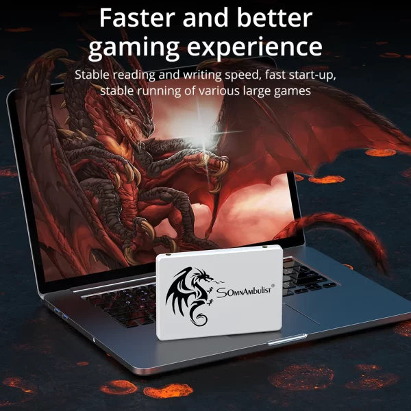 SomnAmbulist SSD 2.5 64GB 128GB 256GB 512GB for Laptop Desktop Solid State Drive Sata3 120GB 240GB 480GB - Imagem 4