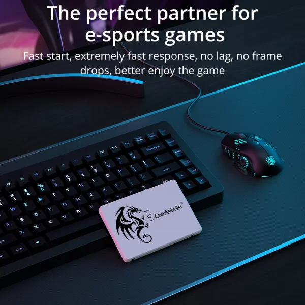 SomnAmbulist SSD 2.5 64GB 128GB 256GB 512GB for Laptop Desktop Solid State Drive Sata3 120GB 240GB 480GB - Imagem 3